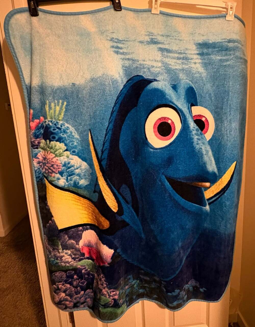 Disney Pixar Finding Dory Micro Raschel Fleece Throw Blanket